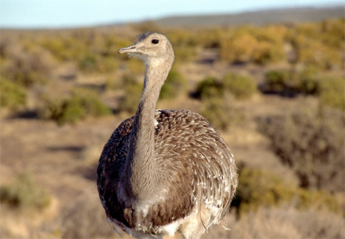 Imagen muestra Estancia La Perla