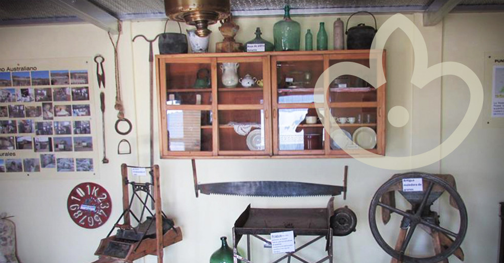 Imagen interior La Regina