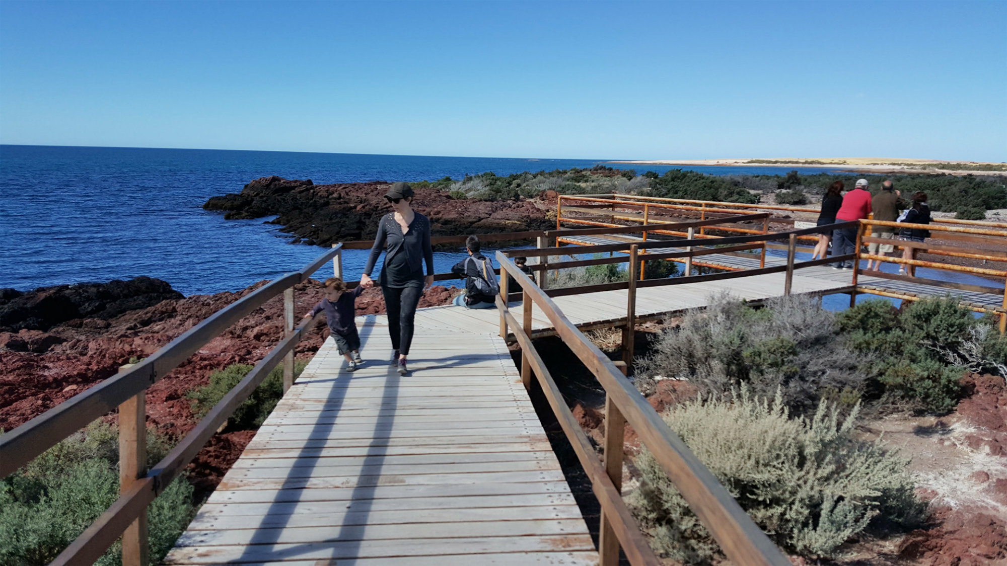 Imagen de muestra Punta Tombo 1