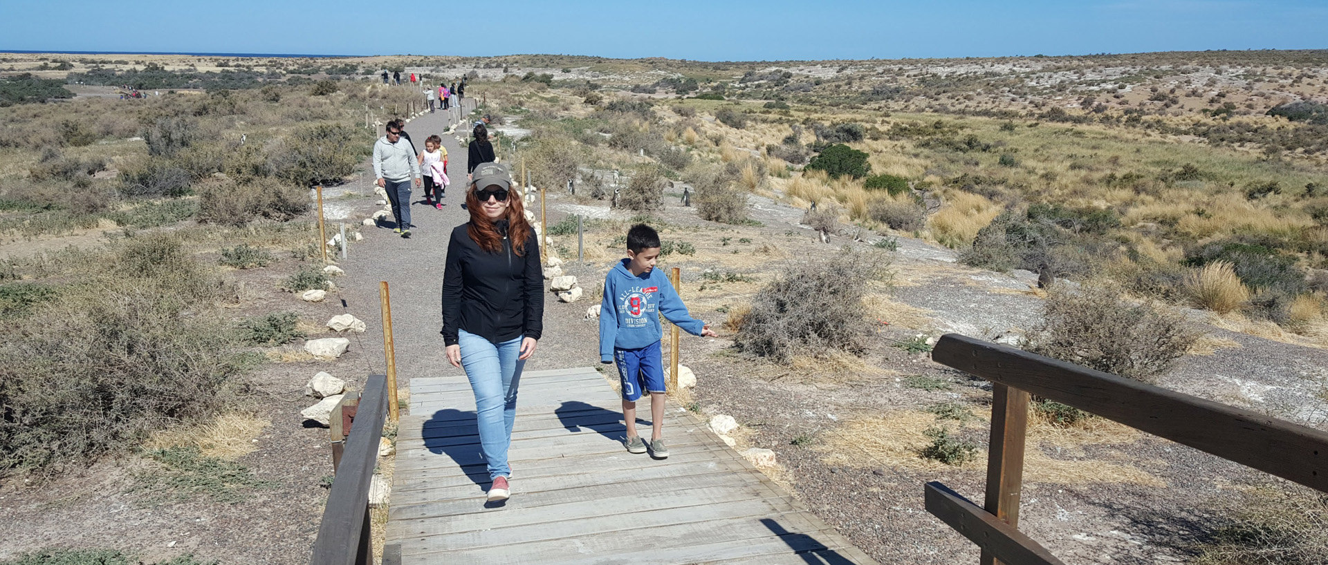 Imagen de cabecera de actividades