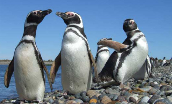 Imagen recomendaciones